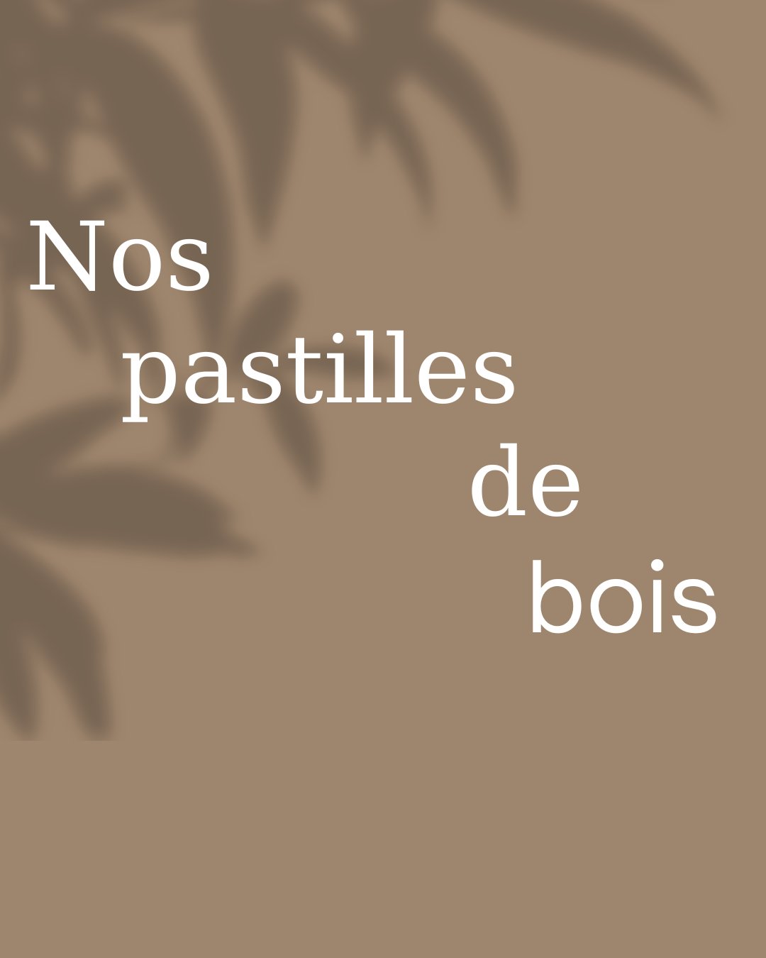 Nos pastilles de bois